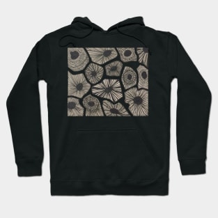 Abstract Petoskey Stones Hoodie